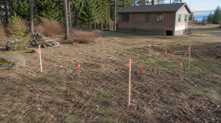 A rural property site marked for septic system evaluation with survey stakes